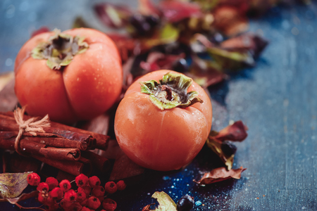 Ripe persimmons on a dark wooden background with autumn leaves, berries and cinnamon. Flat lay with copy space. Fruit in dark food photography.の写真素材