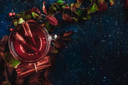 Tea cup with cinnamon on a dark background. Conceptual stylized food still life with autumn leaves and berries. Flat lay with copy spaceの写真素材