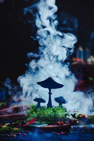 Mysterious mushrooms in Perti dish in clouds of smoke in full moon light. Scientist workplace with botanycal theme. Dark still life with copy space.の写真素材