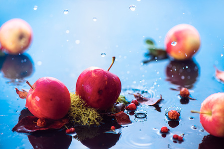 Autumn apples under the rain. Fall harvest header with water drops and copy space. Fresh and airy conceptual food photographyの写真素材