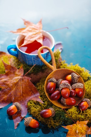 Autumn drink photography with hot tea in a blue ceramic cup, acorns in a wooden scoop and fallen maple leaves on a wet dark background with copy space.の写真素材
