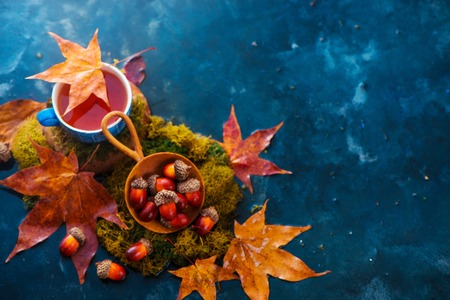 Autumn tea header with blue ceramic cup, acorns in a wooden scoop and fallen maple leaves. Seasonal drink photography on a wet dark background with copy space.の写真素材