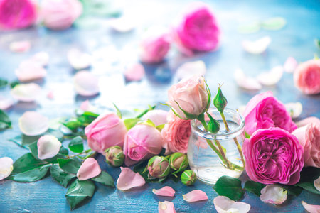 Pink peony roses, petals, and leaves on a wet rainy background in the morning light. Spring header with copy spaceの写真素材