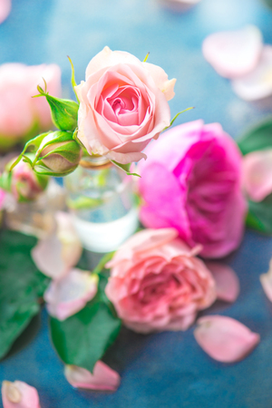 Pink roses in tiny glass bottles on a neutral gray background with copy space. A feminine concept with petals and flowers in pastel tonesの写真素材