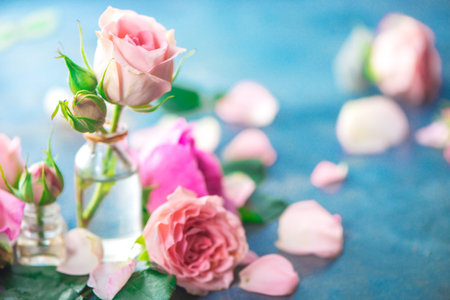 Pink peony roses, petals, and leaves on a wet rainy background in the morning light. Spring header with copy spaceの写真素材