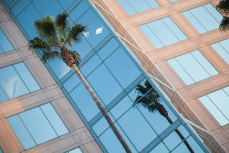 Palm tree reflected in the building of the Television Academy. Valley Village. Los Angeles. California. USAのeditorial素材