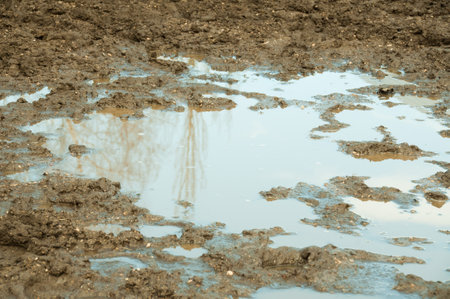 big muddy puddle after rainの写真素材