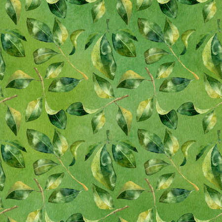 Green leaves watercolor seamless pattern. Botanical painting illustration isolated on green background. Summer Hand drawn illustration. Herbs for cosmetics, package, textile, cards, decorationの写真素材