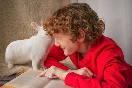 A boy plays with his pet white rabbit.の写真素材