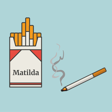 Open cigarette pack box flat style vector illustrationのイラスト素材