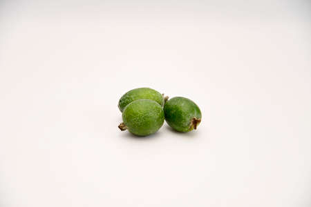 Green feijoa fruits on the white background in the middle of photo. horizontal frame.の写真素材