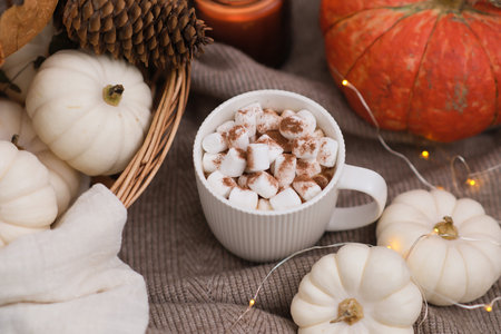 a white cup of coffee with marshmellow,Little white decorative pumpkins in basket, fir cone, burning candle and orange pumpkin, lights on knitted blanket. Top view.の写真素材