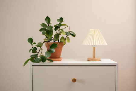 A stylish arrangement of a thriving plant and a chic lamp on a white cabinet, perfect for modern decor.の写真素材