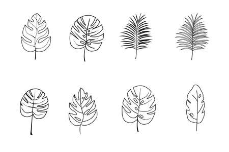 A set of silhouettes of tropical palm leaves isolated on a white background. Vector illustrationのイラスト素材