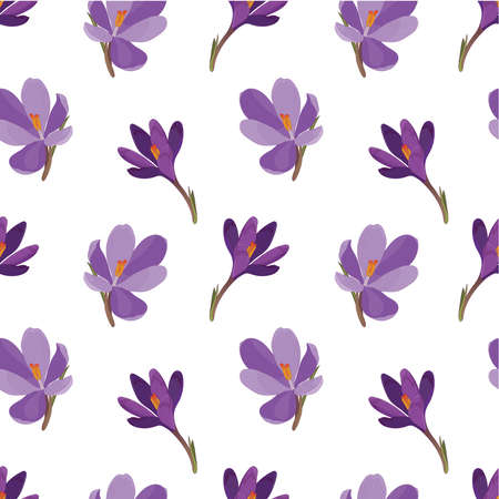 Saffron. Mountain flowers. Spring vector illustration. Seamless pattern with crocus flowers (saffron) on a white backgroundのイラスト素材