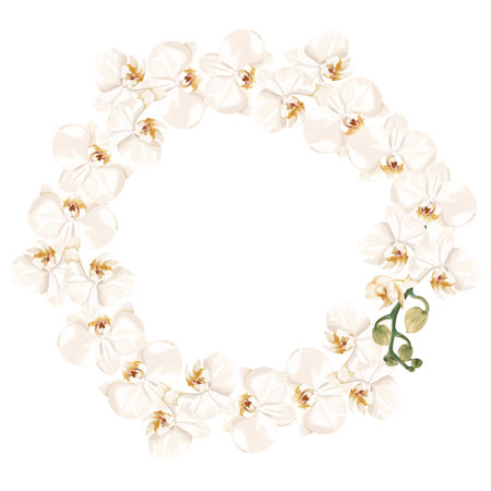 Boho, bohemian wreath with white phalaenopsis orchid flowers. Wedding floristry.のイラスト素材