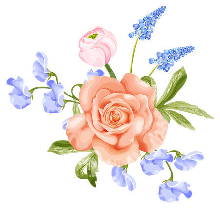 Spring bouquet with rose, pink ranunculus, blue hyacinth flower and sweet pea.のイラスト素材
