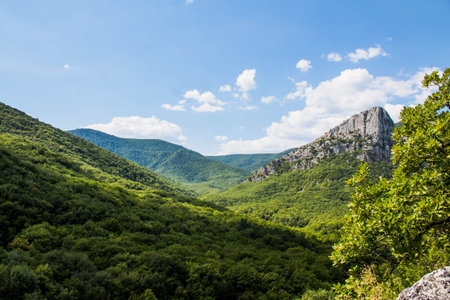 summer in Crimea