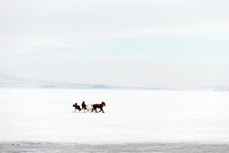 people with horse sledge outdoorの写真素材