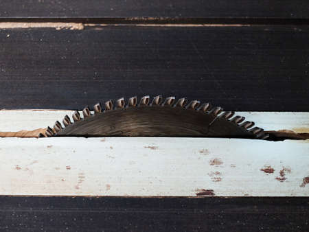 electrical saw for cutting woodの写真素材