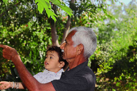 Standing in the garden with an Indian grandfather and young grandson, giving information of trees and plants with hand signs, indiaの写真素材