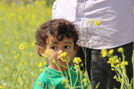 Close-up portrait of A cute little boy standing in a mustard field looking at the yellow flowers of a mustard crop to an Indian-origin farming familyの写真素材