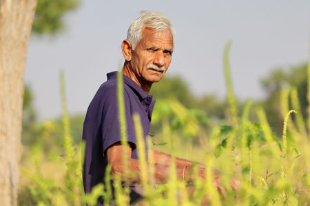 Portrait photo of A progressive Indian senior farmer sitting near wild green Grasses and looking at...