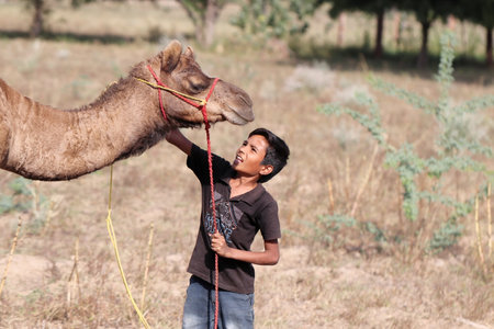 Pali Rajasthan , India -âOctober 30 , 2021. Close-up of Camel's farmer little boy holding the camel with a rope, Rajasthanのeditorial素材