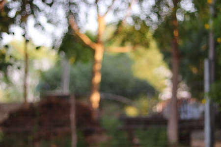 Close-up defocused background photo of sun light and green trees with bokeh backgroundの写真素材