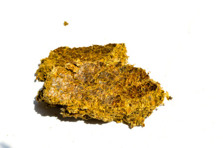 cotton seed oil cake on white backgroundの写真素材