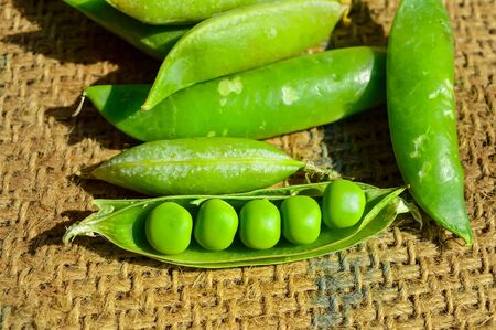 peas beans on agriculture background,close up view of peas beans,fresh peas beans top view,green peasの写真素材