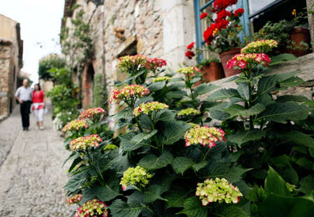 Flowers and a couple at the medieval village streetの写真素材