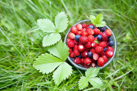 Summer and healthy food concept - small glass full of fresh forest berries (strawberries and blueberries) on a green lawnの写真素材