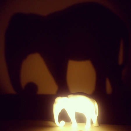 Shadow of the Elephantの素材