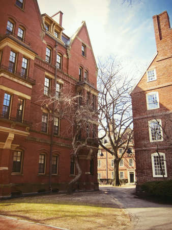Cambridge University, Bostonの素材