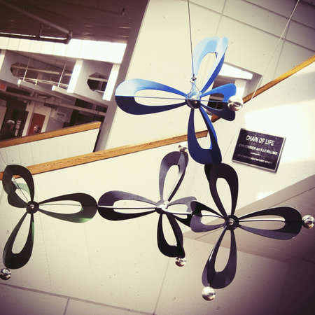 Chain of life sculpture in Harvard University Science Center, Bostonの素材