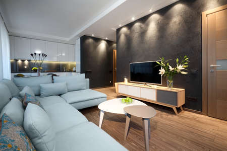 Interior - modern design of a sitting room in a small apartmentの写真素材