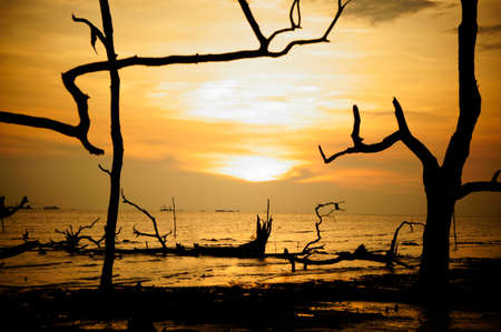 Sunset scenery at Kelanang Beachの写真素材