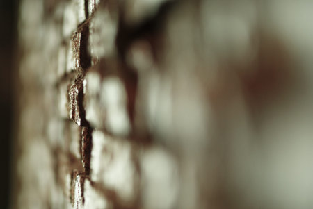 Brick wall with shallow depth focus