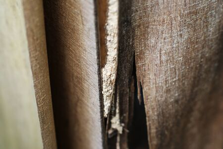 Old broken plywood boards textureの写真素材
