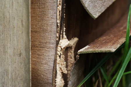 Old broken plywood boards texture