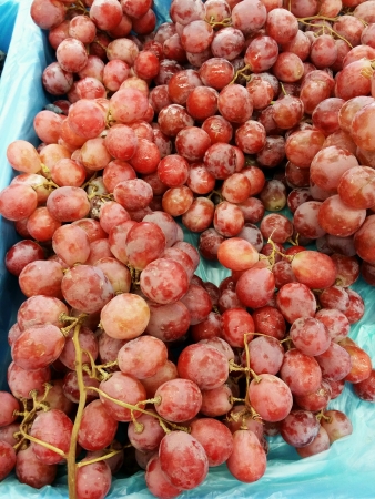 Seedless grapes piled for retail at the marketの素材