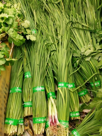 Fresh chives or kucai piled for retail at the marketの素材