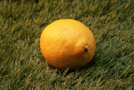 A lemon on a fake grassの写真素材