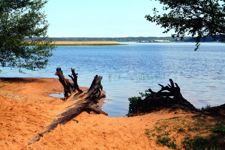 Near the lake