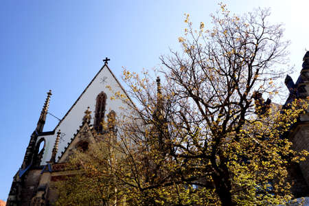 Spring cityscapeの写真素材