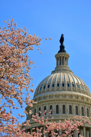 US Capitol in cherry bloom, Washington DC, USAのeditorial素材