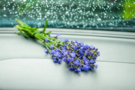 A small lavender bunch inside the car while it s raining outsideの写真素材