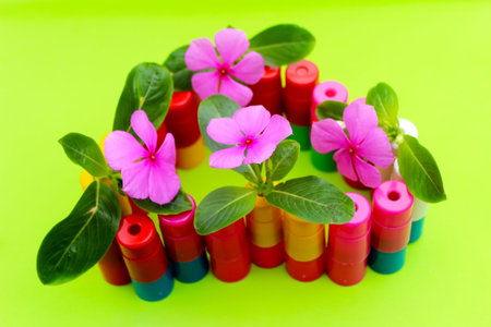 pink flower on the heartの写真素材