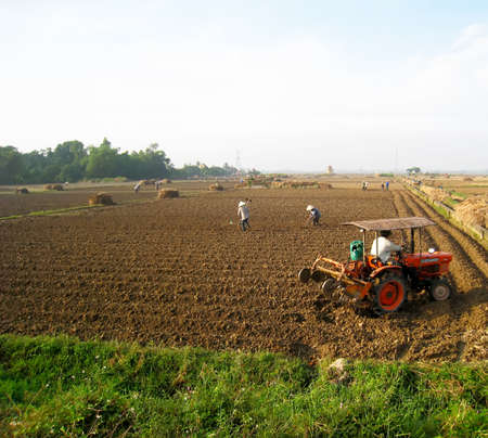 HAI DUONG, VIETNAM, June 10: Vietnam farmers works in a rice field with tractor on June 10, 2013 in Hai Duong, Vietnam. For many farmers rice is the main source of income.のeditorial素材
